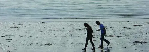 The White House Konukevi 3*